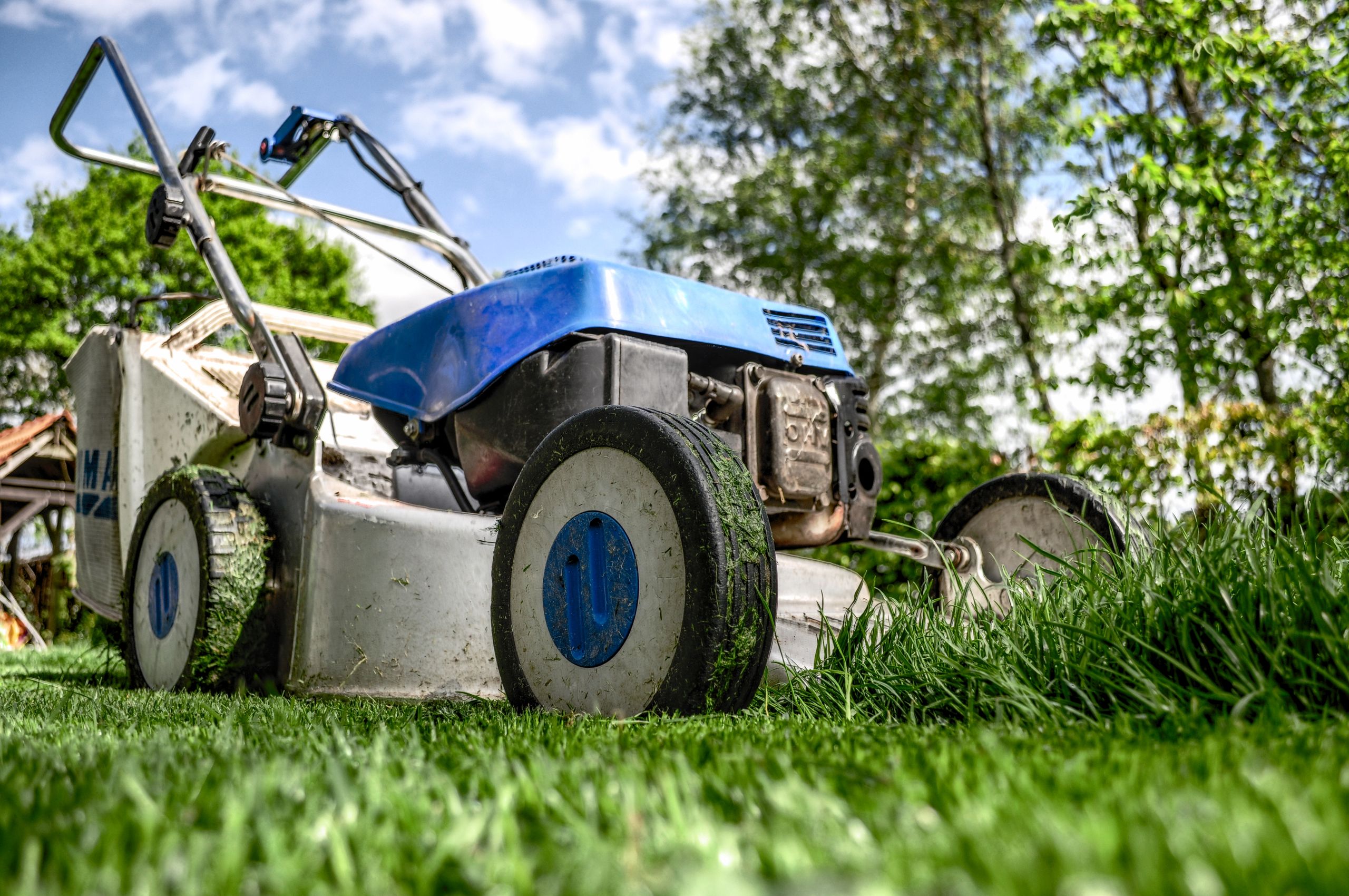 Close-up view of a lawn mower cutting grass in a garden on a sunny day.